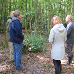 Providing coppice management advice during a Good Woods visit