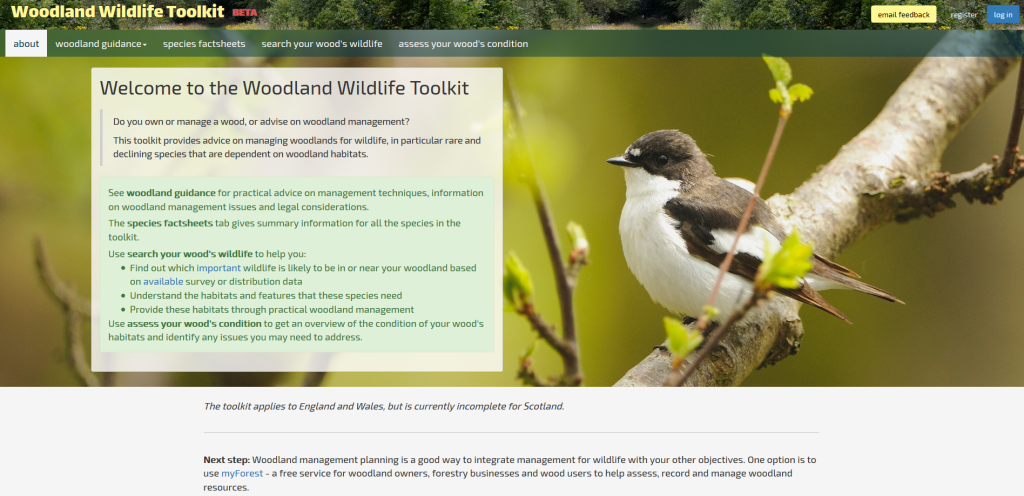 Woodland Wildlife Toolkit