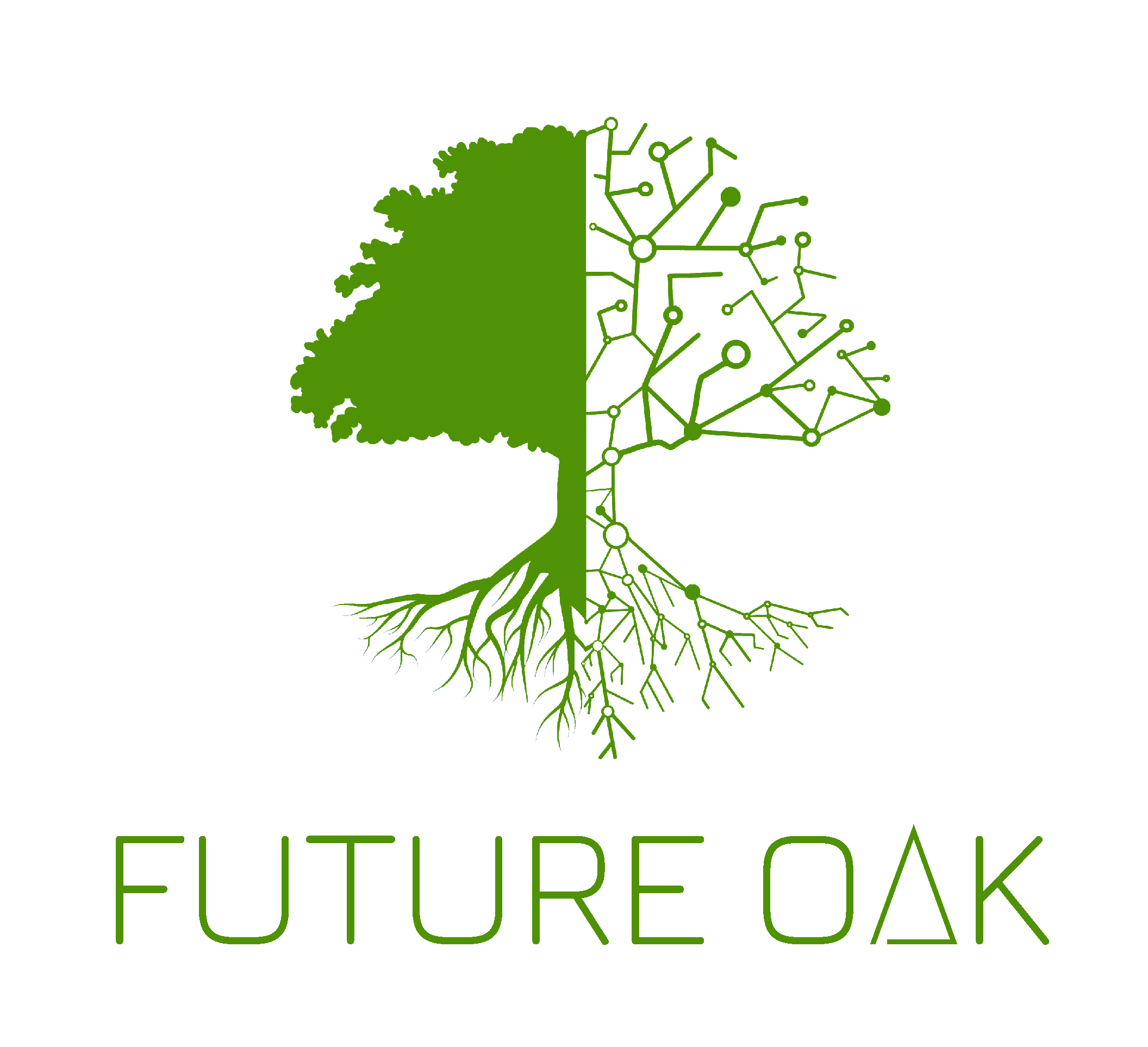 Forest managers and others with an interest in trees are invited to share their knowledge and expertise with a team of researchers who are aiming to discover how declining health is affecting trees across the UK, and to understand views on possible new treatments.Future Oak project